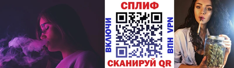 Где купить наркотики Шенкурск ГАШ  Канабис  А ПВП  Меф  Кокаин 