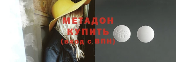 индика Новодвинск