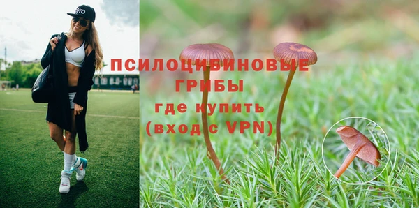 apvp Балабаново