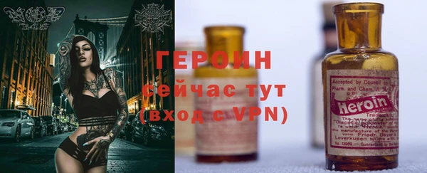 индика Новодвинск