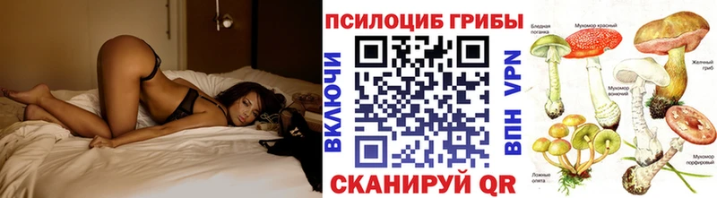 наркотики Шенкурск Псилоцибиновые грибы Psilocybe