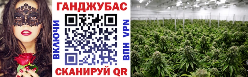 Канабис индика  Шенкурск 